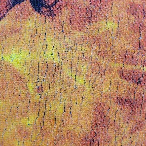 Amon-Amarth Shirt Medium 20x25 Metal Black - Picture 9 of 13